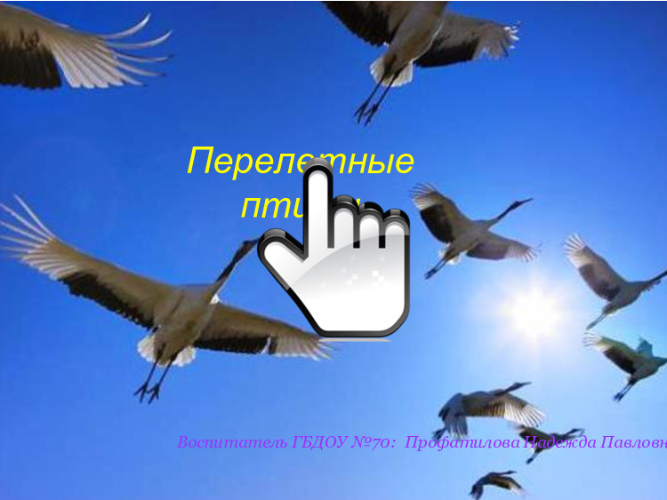 Перелетные птицы 